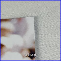 Bo Jackson #16 Kansas City Royals Autographed 8.5x11 Photo Signed COA Hologram