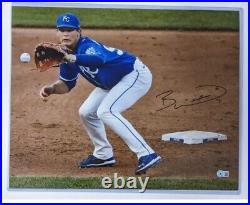 Bobby Witt Jr Autographed Kansas City Royals 16x20 Photo BAS (Catching)