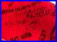 Willie Nelson Signed Bandana 2011 Kansas City Farm Aid